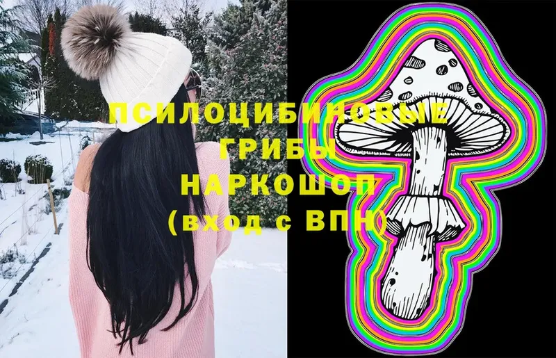 Галлюциногенные грибы Magic Shrooms  Лениногорск 